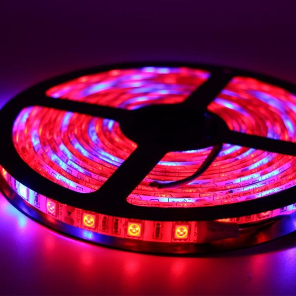 5m led grow lights strip lamp red blue 7:1 8:1 hydroponic apollo phyto fitolampy plant seedling flower dc
5m led grow lights strip lamp red blue 7:1 8:1 hydroponic apollo phyto fitolampy plant seedling flower dc