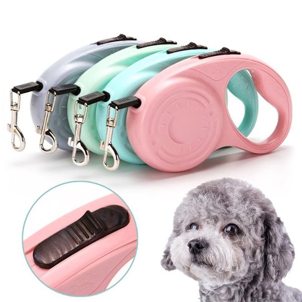 3m/5m dog leash automatic retractable traction rope adjustable extending belt for outdoor walking pet accessories collars & leashes
3m/5m dog leash automatic retractable traction rope adjustable extending belt for outdoor walking pet accessories collars & leashes