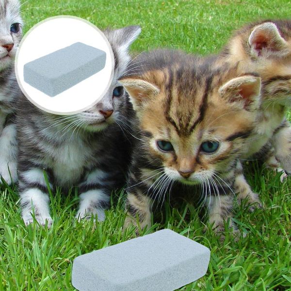 decorations 4pcs pumice stone pet foot file scrubber pedicure exfoliation dead skin remover
decorations 4pcs pumice stone pet foot file scrubber pedicure exfoliation dead skin remover