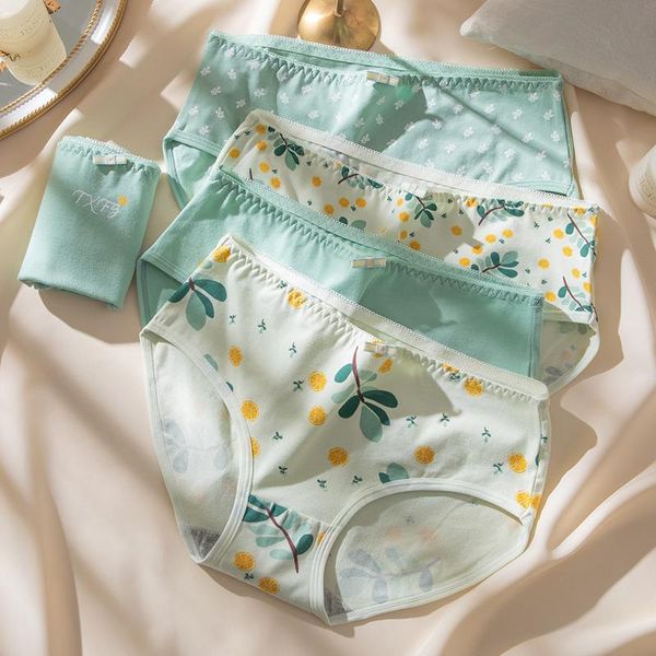 women's panties fashion 5pcs/lot cotton breathable cute bow print girls briefs seamless plus size underwear female lingerie, Black;pink
women's panties fashion 5pcs/lot cotton breathable cute bow print girls briefs seamless plus size underwear female lingerie, Black;pink