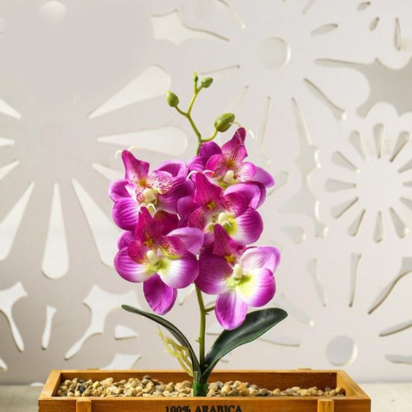 mini phalaenopsis bouquet butterfly orchid wedding decorations christmas mom gift home ornaments silk flowers decorative & wreaths
mini phalaenopsis bouquet butterfly orchid wedding decorations christmas mom gift home ornaments silk flowers decorative & wreaths