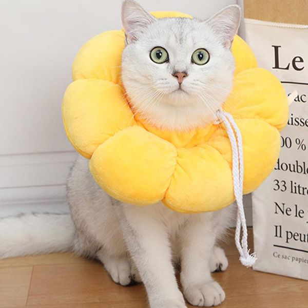 cat collars & leads pet collar neck recovery cone soft anti-scratch protector for pets protective leashes xs/s/m/l
cat collars & leads pet collar neck recovery cone soft anti-scratch protector for pets protective leashes xs/s/m/l