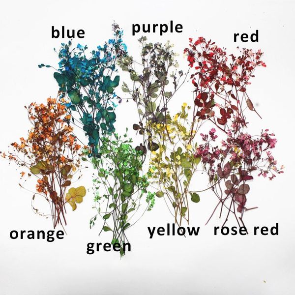 decorative flowers & wreaths 60pcs dried pressed branches for glass sticker resin art jewelry frame decoration diy handicraft phone case scr
decorative flowers & wreaths 60pcs dried pressed branches for glass sticker resin art jewelry frame decoration diy handicraft phone case scr
