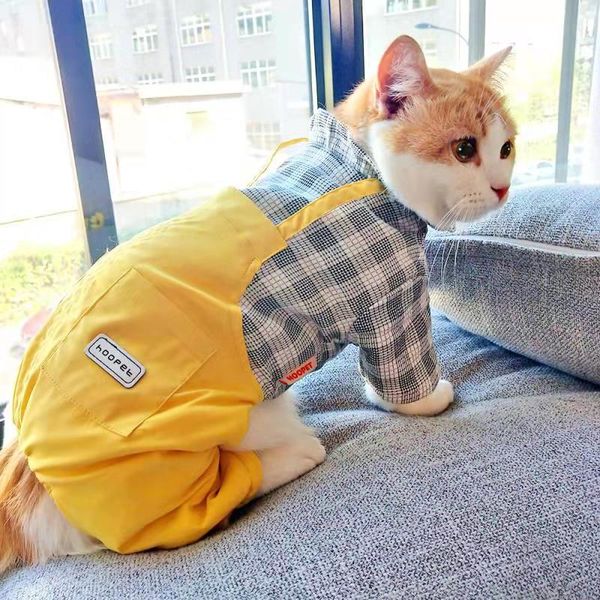 dog apparel et clothes cute bees loaded clothing for cats teddy poodle shirt animals costume pet supplies bb5wy035
dog apparel et clothes cute bees loaded clothing for cats teddy poodle shirt animals costume pet supplies bb5wy035