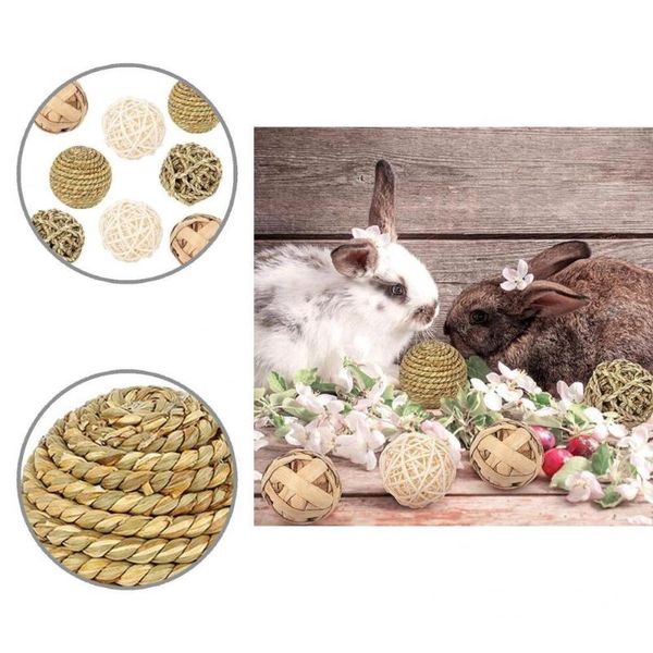 small animal supplies lightweight 8pcs/set great guinea pigs rat gerbil chew toy long lasting hamster safe pet toys
small animal supplies lightweight 8pcs/set great guinea pigs rat gerbil chew toy long lasting hamster safe pet toys