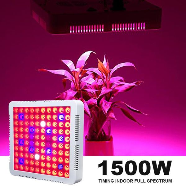 timing 2000w 100 led grow lamp light for plants indoor full spectrum tent garden flower seed growing fitolampy fito phyto growth lights
timing 2000w 100 led grow lamp light for plants indoor full spectrum tent garden flower seed growing fitolampy fito phyto growth lights