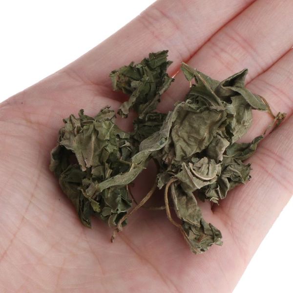 cat carriers,crates & houses natural silvervine leaves catnip dried polygonum matatabi toys flavor f3mb
cat carriers,crates & houses natural silvervine leaves catnip dried polygonum matatabi toys flavor f3mb