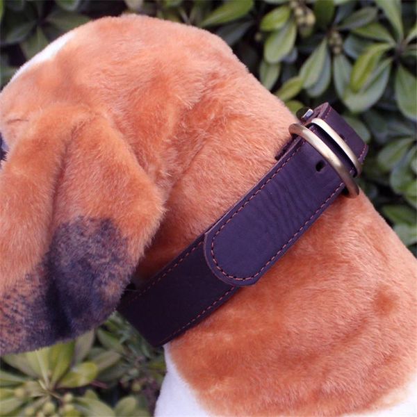 dog collars & leashes pu leather collar adjustable soft genuine real sew pet for medium and big supplies accessories
dog collars & leashes pu leather collar adjustable soft genuine real sew pet for medium and big supplies accessories