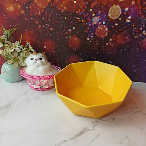 pet tilted elevated feeding bowl with anti slip stand feeders cute water cats feeder cat bowls
pet tilted elevated feeding bowl with anti slip stand feeders cute water cats feeder cat bowls