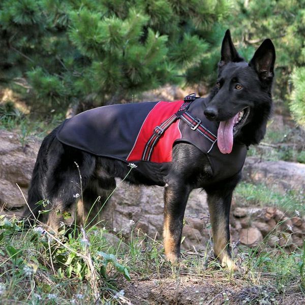 pet waterproof four sides elastic cotton padded coat autumn winter composite fleece inner lining vest for dogs dog apparel
pet waterproof four sides elastic cotton padded coat autumn winter composite fleece inner lining vest for dogs dog apparel