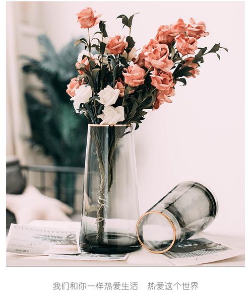 vases minimaliste nordic vase tablecreative glass plant desk decor with flower adornos para casa table art bs50hp
vases minimaliste nordic vase tablecreative glass plant desk decor with flower adornos para casa table art bs50hp