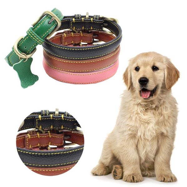 dog collars & leashes 4 colors personalized collar leather pet products for dogs accessories pitbull puppy
dog collars & leashes 4 colors personalized collar leather pet products for dogs accessories pitbull puppy