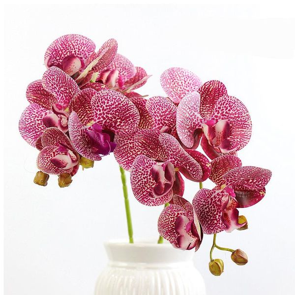 decorative flowers & wreaths flower for wedding home festival decorationartificial silk white orchid butterfly moth phalaenopsi
decorative flowers & wreaths flower for wedding home festival decorationartificial silk white orchid butterfly moth phalaenopsi