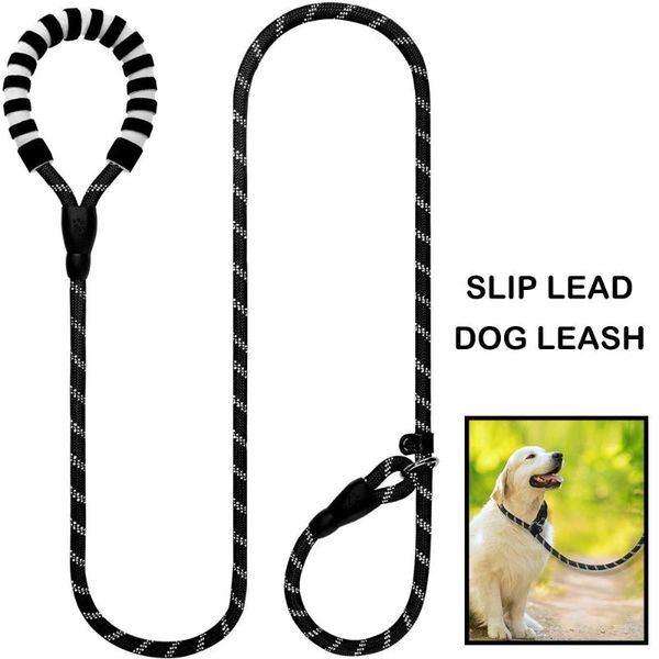 dog collars & leashes durable slip lead leash with comfortable padded handle and highly reflective threads quality rope training
dog collars & leashes durable slip lead leash with comfortable padded handle and highly reflective threads quality rope training