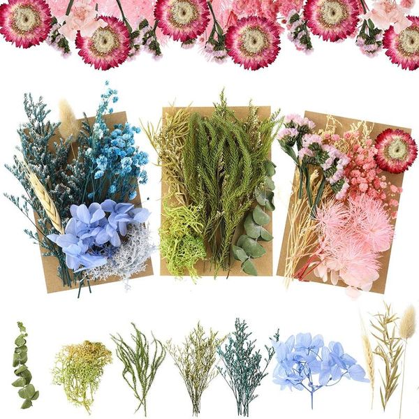 3packs natural dried flowers leaves set mixed multiple colorful real dry flower for diy candle resin jewelry nail decorative & wreaths
3packs natural dried flowers leaves set mixed multiple colorful real dry flower for diy candle resin jewelry nail decorative & wreaths