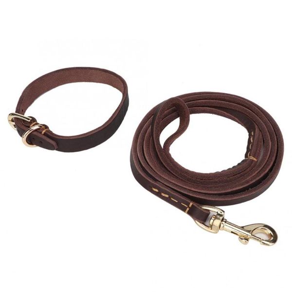 collars harnesses leads puppy dogs cats harness leash leadpet dog collar adjustable pet soft artificial cattlehide & leashes
collars harnesses leads puppy dogs cats harness leash leadpet dog collar adjustable pet soft artificial cattlehide & leashes