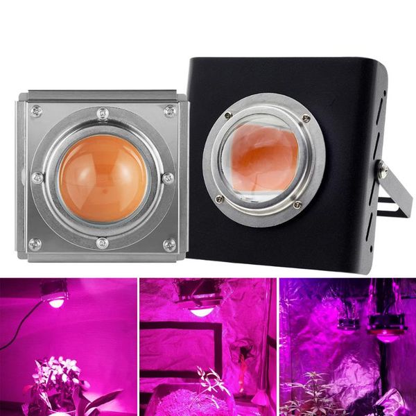 grow lights 2021 led plant light cob full spectrum 50w growth vegetable succulent flower fill ac86-265v
grow lights 2021 led plant light cob full spectrum 50w growth vegetable succulent flower fill ac86-265v