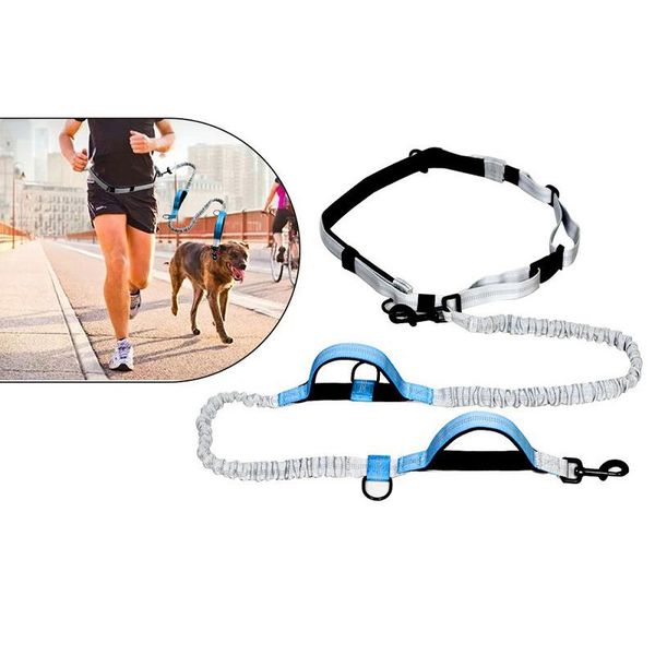 dog collars & leashes double handle leash running jogging pet lead sport adjustable walking hand waist belt reflective rope multifuncti
dog collars & leashes double handle leash running jogging pet lead sport adjustable walking hand waist belt reflective rope multifuncti