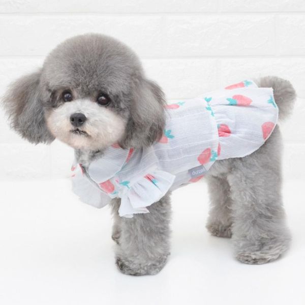 fashion cute dog shirts clothes spring summer dress vest pet clothing t-shirt for small large cat chihuahua apparel
fashion cute dog shirts clothes spring summer dress vest pet clothing t-shirt for small large cat chihuahua apparel