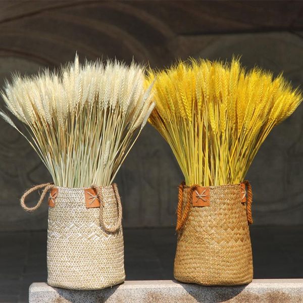 barley grain dry flower opening rural decoration film props rice arranging flowers really decorative & wreaths
barley grain dry flower opening rural decoration film props rice arranging flowers really decorative & wreaths