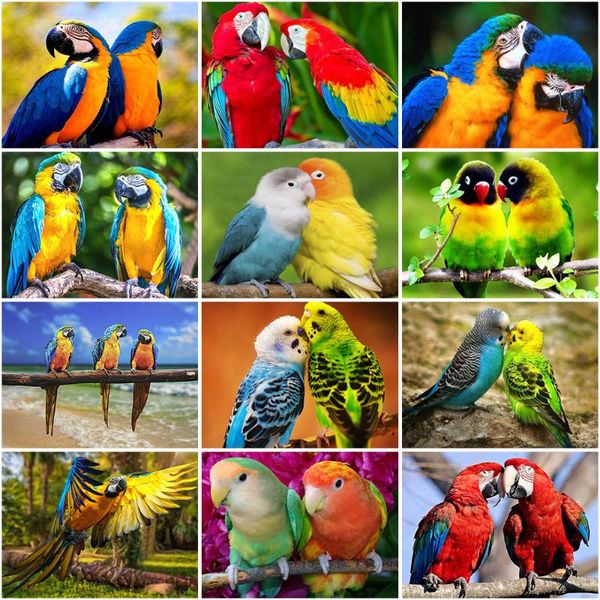 diamond painting 5d diy parrot animal embroidery cross stitch rhinestone birds craft mosaic needlework home decor
diamond painting 5d diy parrot animal embroidery cross stitch rhinestone birds craft mosaic needlework home decor
