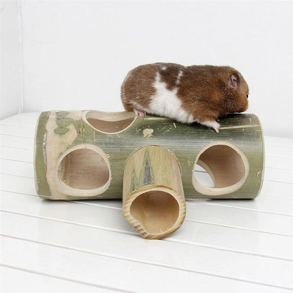 small animal supplies pet bamboo tube tunnel hamster toy for pets (random color)
small animal supplies pet bamboo tube tunnel hamster toy for pets (random color)