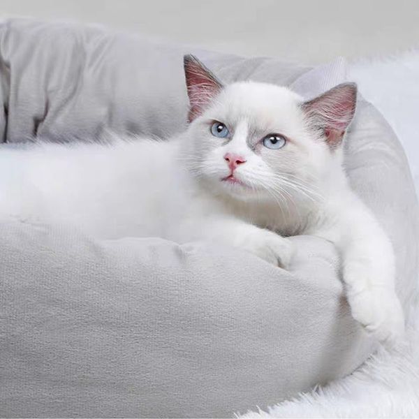 cat beds & furniture pet house bed warm fleece round dog kennel winter pets for small dogs cats soft sofa cushion mats with pillow
cat beds & furniture pet house bed warm fleece round dog kennel winter pets for small dogs cats soft sofa cushion mats with pillow