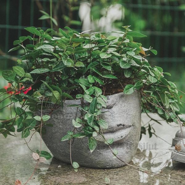 creative face resin flower pot retro imitation cement flowerpot balcony garden greenhouse planting succulents sculpture vases
creative face resin flower pot retro imitation cement flowerpot balcony garden greenhouse planting succulents sculpture vases