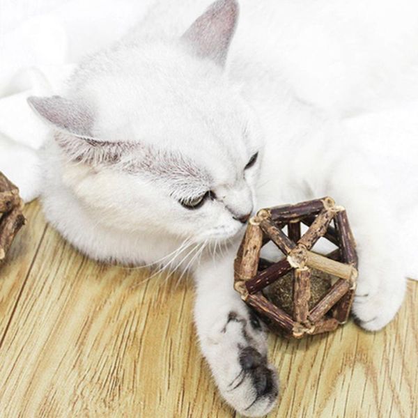 cat toys handmade catnip ball matatabi sticks organic natural silver vine pet supplies
cat toys handmade catnip ball matatabi sticks organic natural silver vine pet supplies