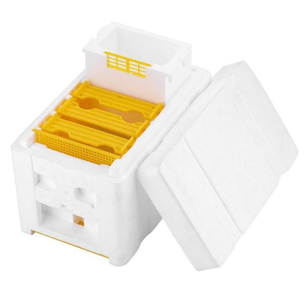 repair tools & kits beekeeping foam beehives bee tail boxes breeding pollination box sets
repair tools & kits beekeeping foam beehives bee tail boxes breeding pollination box sets