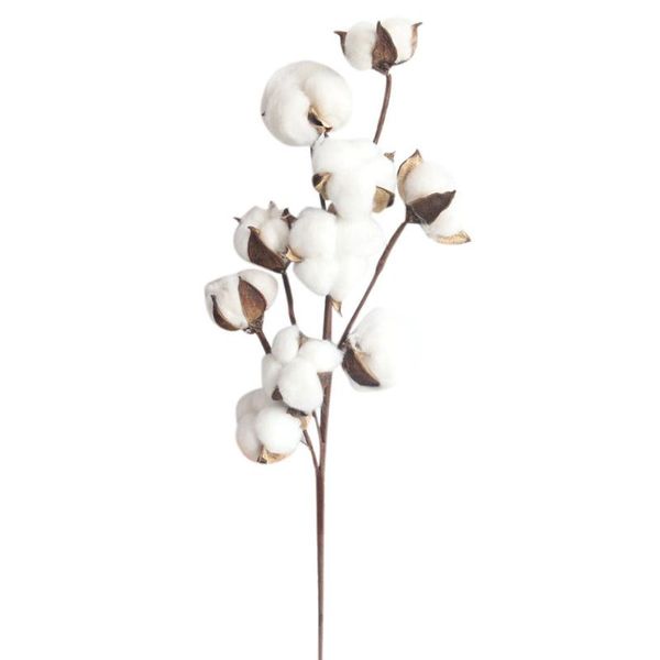 naturally dried cotton stems farmhouse artificial flower filler floral decor party favor
naturally dried cotton stems farmhouse artificial flower filler floral decor party favor