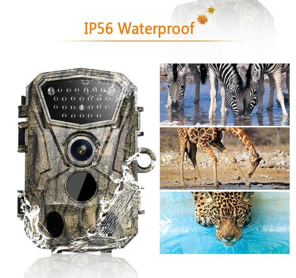 hunting cameras h883 18mp 1080p 24pcs infrared leds night trail camera waterproof entertainment
hunting cameras h883 18mp 1080p 24pcs infrared leds night trail camera waterproof entertainment