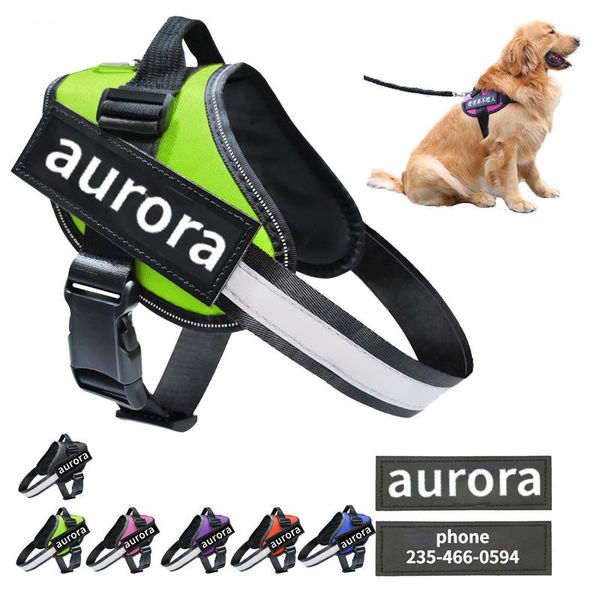 dog collars & leashes harness personalized breathable adjustable pet for small large vest with custom patch accessories
dog collars & leashes harness personalized breathable adjustable pet for small large vest with custom patch accessories