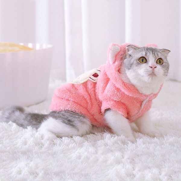 cat costumes cute clothes fashion spring coat hoodie clothing for small cats outfit vest animals pet bb50wy
cat costumes cute clothes fashion spring coat hoodie clothing for small cats outfit vest animals pet bb50wy