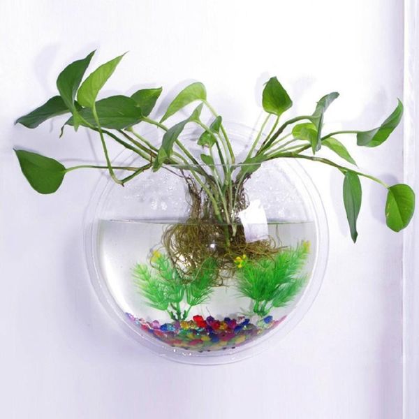 aquariums transparent glass vase wall hanging hydroponic terrarium fish tanks potted plant flower pot dia 15/17/22.5 cm
aquariums transparent glass vase wall hanging hydroponic terrarium fish tanks potted plant flower pot dia 15/17/22.5 cm