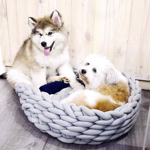 small animal supplies 1pcs knitting cotton large pet dogs cats bed mats soft warm kennel mat puppy cushion house dog cat hand-woven
small animal supplies 1pcs knitting cotton large pet dogs cats bed mats soft warm kennel mat puppy cushion house dog cat hand-woven