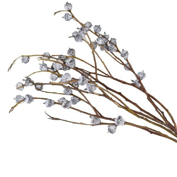 decorative flowers & wreaths dried real home decor 6 stems natural eucalyptus globulus fruit flower bunch
decorative flowers & wreaths dried real home decor 6 stems natural eucalyptus globulus fruit flower bunch