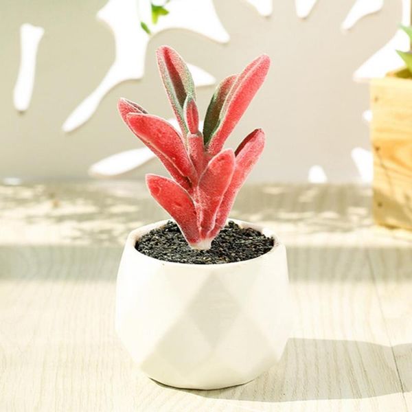 artificial bonsai beautiful nice-looking realistic multilayer succulent plant for home decoration decorative flowers & wreaths
artificial bonsai beautiful nice-looking realistic multilayer succulent plant for home decoration decorative flowers & wreaths