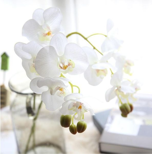 white orchid artificial flowers silk latex wedding flower butterfly phalaenopsis centerpieces decorative & wreaths
white orchid artificial flowers silk latex wedding flower butterfly phalaenopsis centerpieces decorative & wreaths