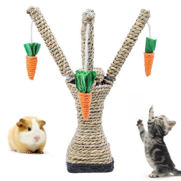 pet cat hamster climbing carrot tree tower shelf scratching post chewing toy toys