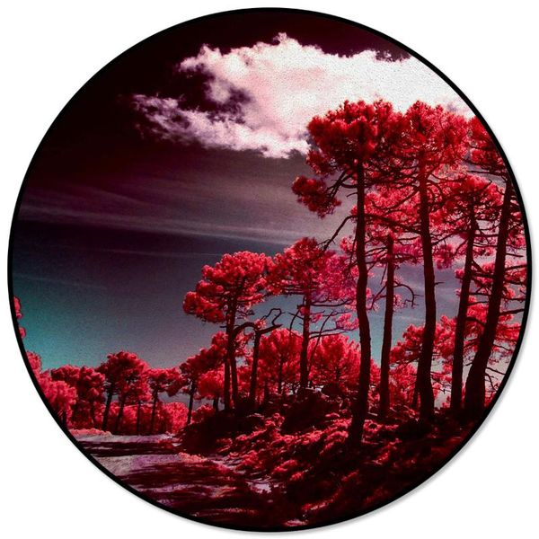 carpets creative rugs for children rooms red trees forest landscape pattern round carpet rug home living room bedroom
carpets creative rugs for children rooms red trees forest landscape pattern round carpet rug home living room bedroom