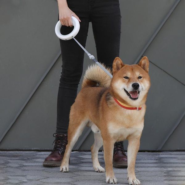 2 retractable dog leash ring led lighting flexible pet collar puppy traction rope belt length 3m 90kg collars & leashes
2 retractable dog leash ring led lighting flexible pet collar puppy traction rope belt length 3m 90kg collars & leashes