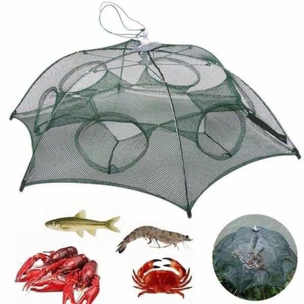 fishing accessories foldable automatic minnow shrimp eel fish crab mesh cage bait net trap
fishing accessories foldable automatic minnow shrimp eel fish crab mesh cage bait net trap