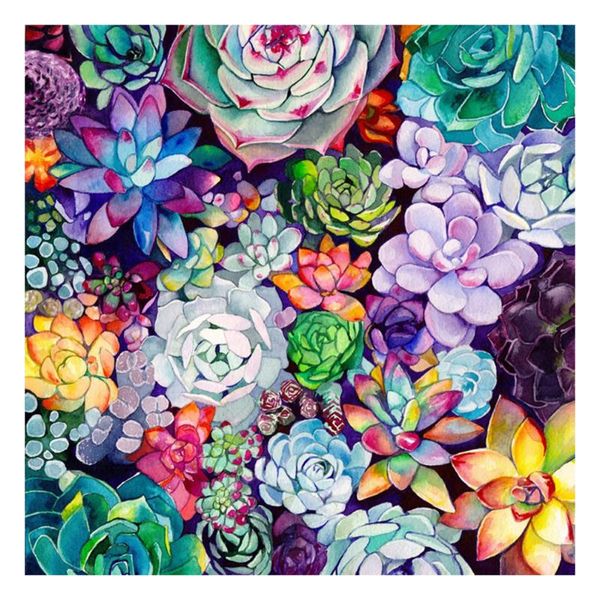 diamond painting kamy yi boutique plants colorful succulents 3d diy po embroidery mosaic mural european home decoration
diamond painting kamy yi boutique plants colorful succulents 3d diy po embroidery mosaic mural european home decoration
