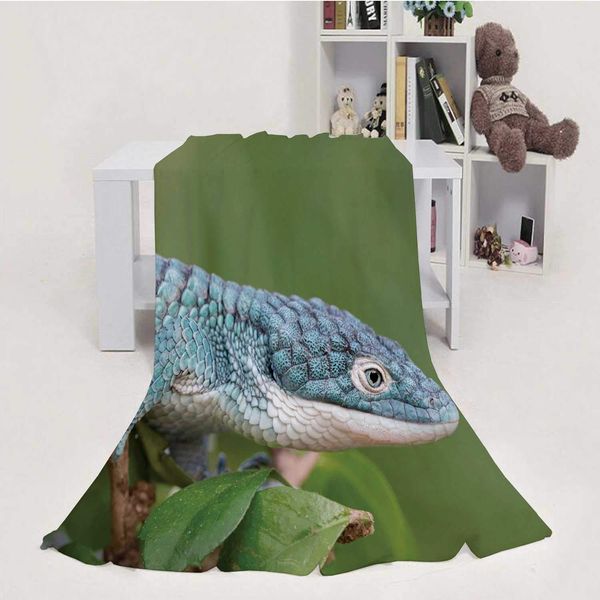 blue abronia (mexican alligator lizard) in rainforest,blanket throw super soft m cozy velvet decoration for couch bed sofa
blue abronia (mexican alligator lizard) in rainforest,blanket throw super soft m cozy velvet decoration for couch bed sofa