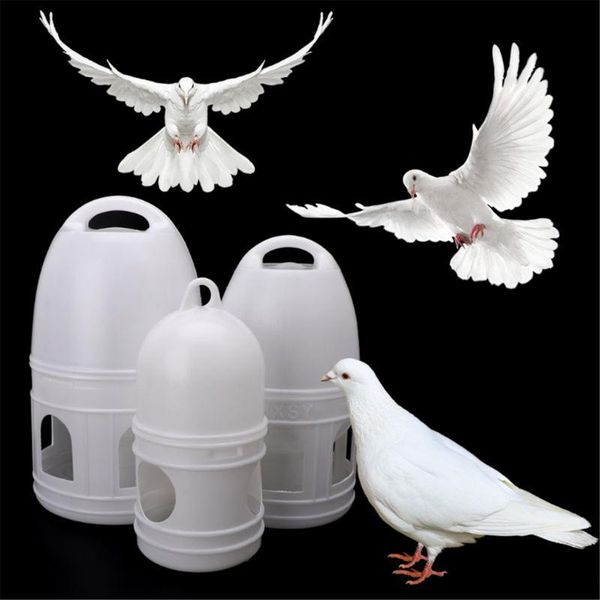 other bird supplies water dove drink drinking dispenser pigeon birds canary drinker feeder
other bird supplies water dove drink drinking dispenser pigeon birds canary drinker feeder