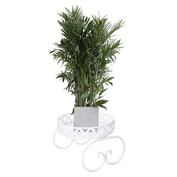 planters & pots 25*19cm iron plant pot holder flower stand shelf organizer indoor and outdoor round geometric durable black planter rack
planters & pots 25*19cm iron plant pot holder flower stand shelf organizer indoor and outdoor round geometric durable black planter rack