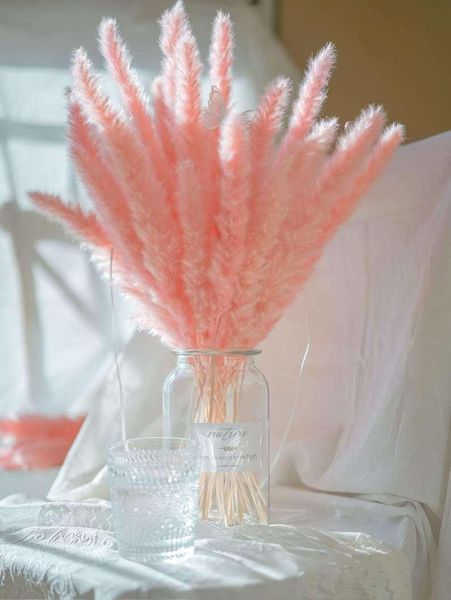 pcs natural dried flowers bouquet pink reed wheat ears setaria living room decoration home wedding decor decorative & wreaths
pcs natural dried flowers bouquet pink reed wheat ears setaria living room decoration home wedding decor decorative & wreaths