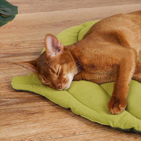 cat beds & furniture leaf pet mat soft cotton ginkgo shape floor rug dog carpet blanket home pets double sided sleep pad for autumn
cat beds & furniture leaf pet mat soft cotton ginkgo shape floor rug dog carpet blanket home pets double sided sleep pad for autumn