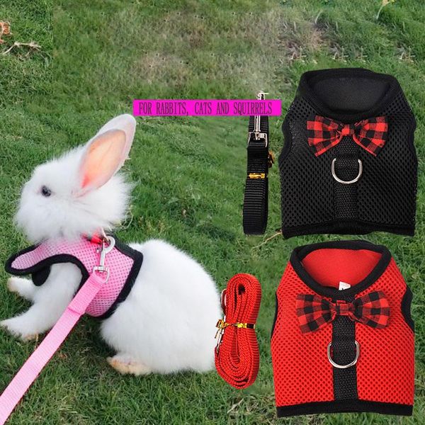 small animal supplies pet leash undershirt type breathable mesh chest strap soft harness with
small animal supplies pet leash undershirt type breathable mesh chest strap soft harness with